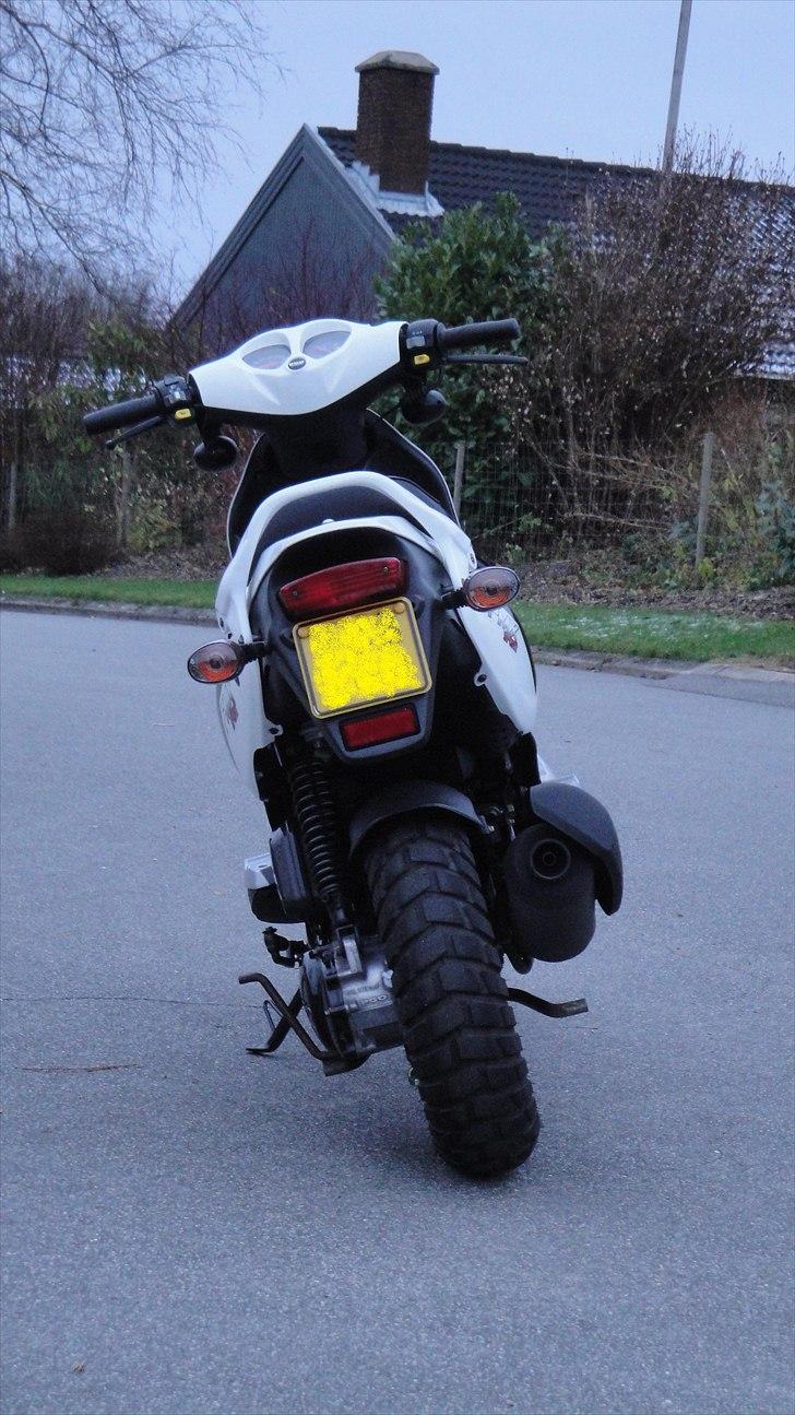 PGO Pmx Sport billede 1