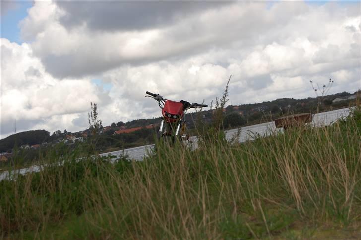 Suzuki Street Magic ( BYTTET )  billede 7