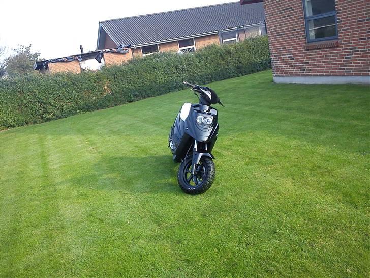 PGO Hot 50 byttet billede 13