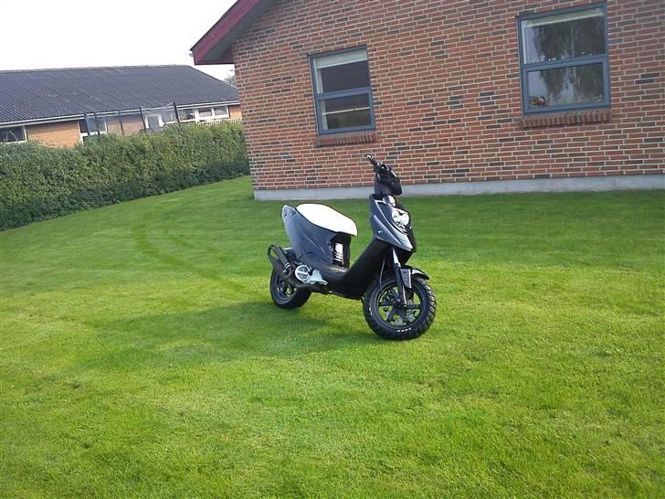 PGO Hot 50 byttet billede 14