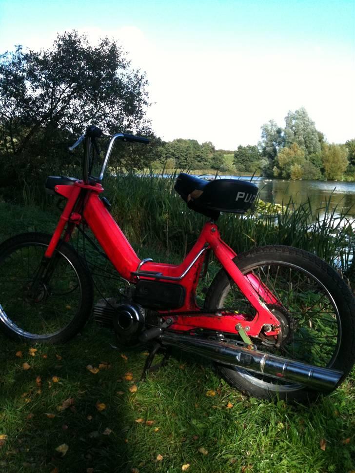 Puch Maxi K billede 2