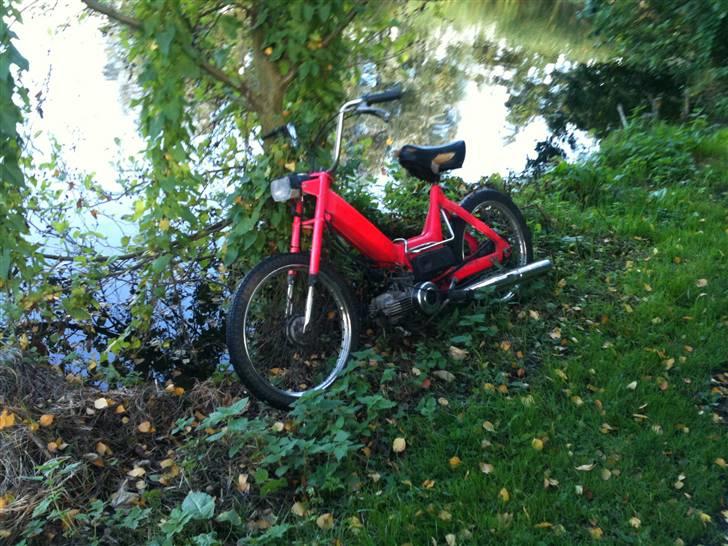 Puch Maxi K billede 3