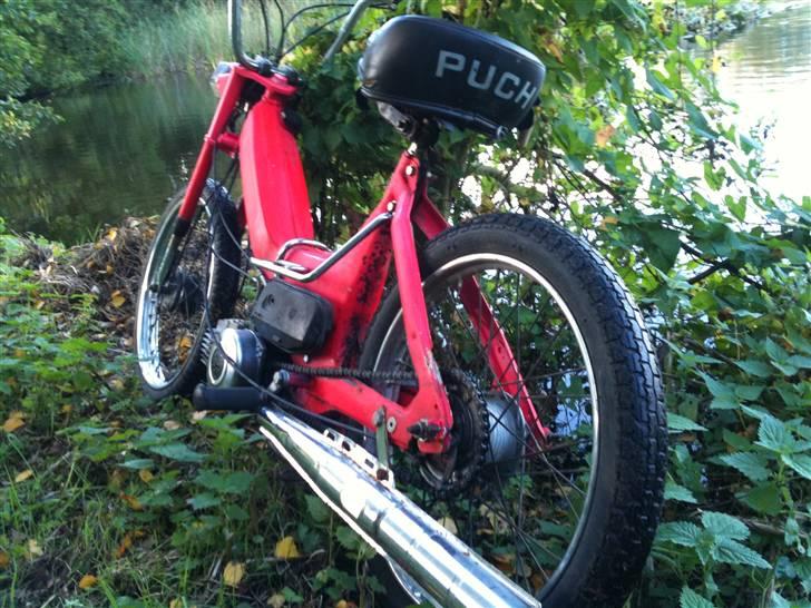 Puch Maxi K billede 5