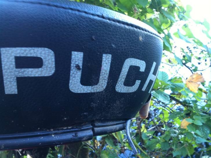 Puch Maxi K billede 7