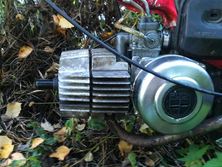 Puch Maxi K billede 8