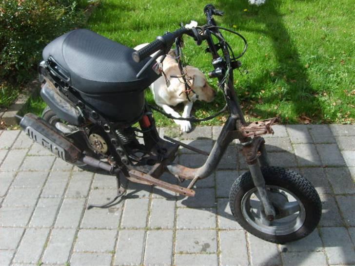 Piaggio Mhr zip - sendt til kina billede 2