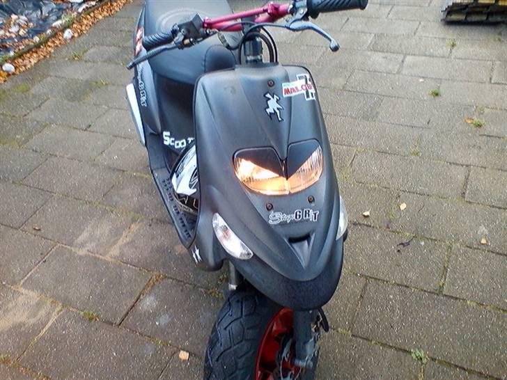 Gilera stalker (skal ses) billede 8