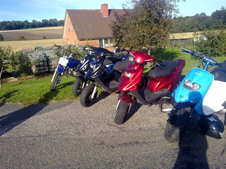 PGO hot 50 byttet  billede 7