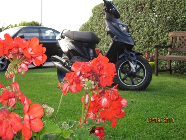 {{currentPhoto.altText}} billede {{currentPhoto.number}}