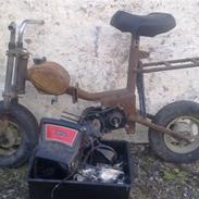 Tomos tori