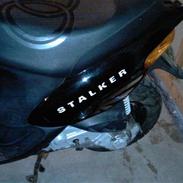 Gilera stalker