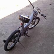 Puch maxi k