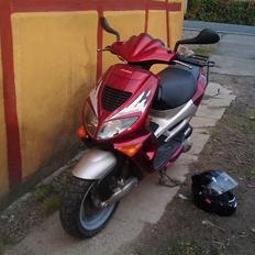 Peugeot Speedfight1 LC DD ~SOLGT~