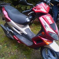 Peugeot Speedfight1 LC DD ~SOLGT~