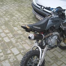 Shineray pitpro