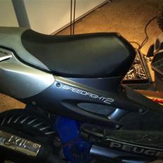 Peugeot speedfight 2 byttet hot 