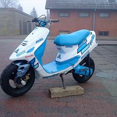 Kreidler Easy Rider EVO II AC SD