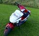 PGO Hot 50 SP