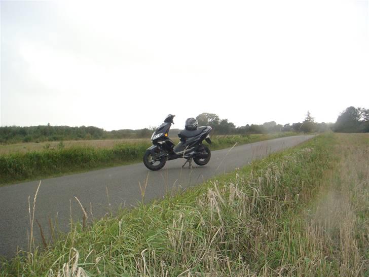 Peugeot Speedfight 2 Kleemann VÆK billede 4