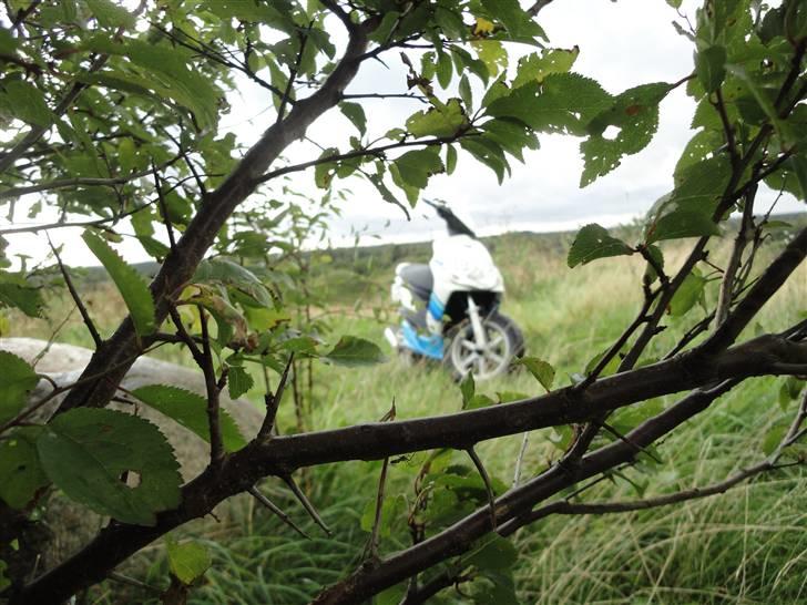 Yamaha Jog R ( byttet til sonic )  billede 14