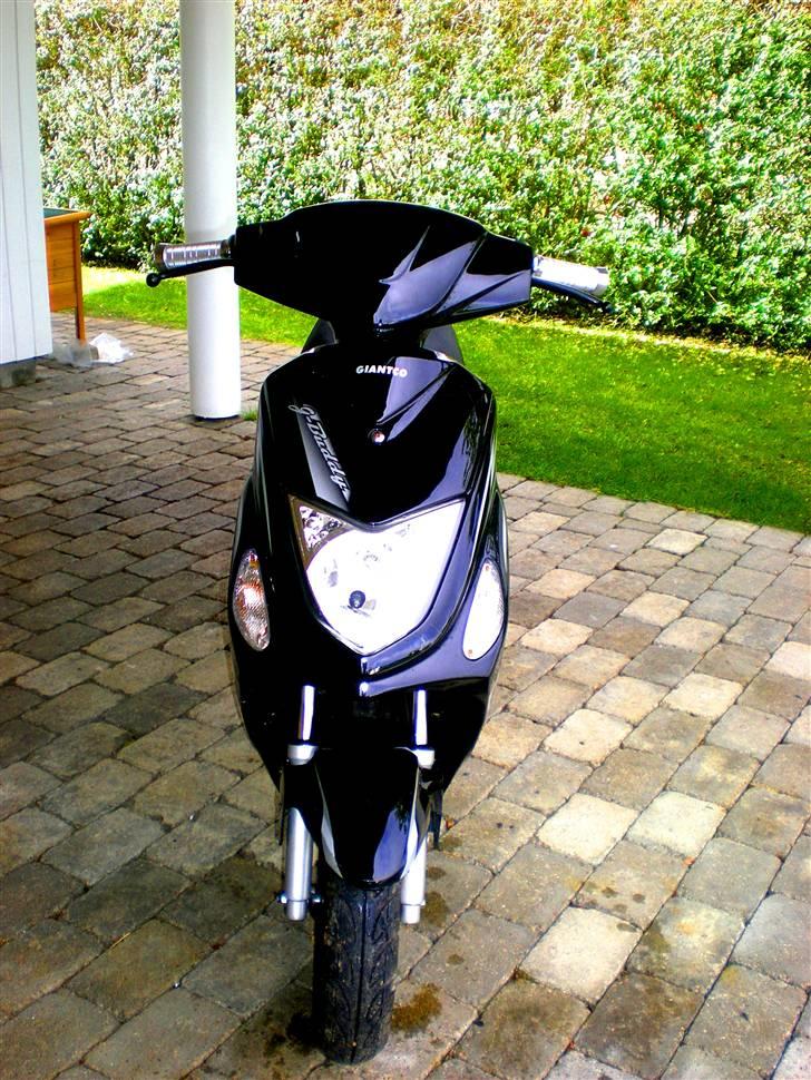 Giantco G-buddy [Taget af politi] billede 1