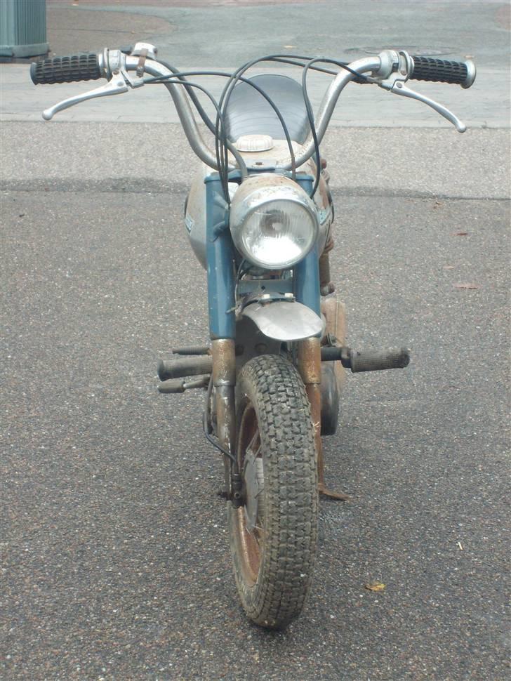 Everton ja  billede 1