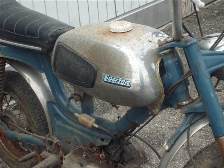 Everton ja  billede 6