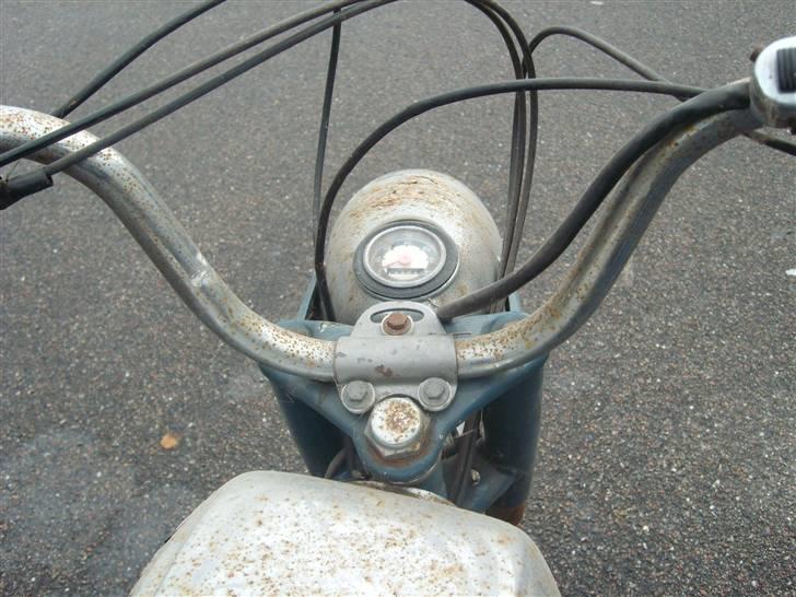 Everton ja  billede 7