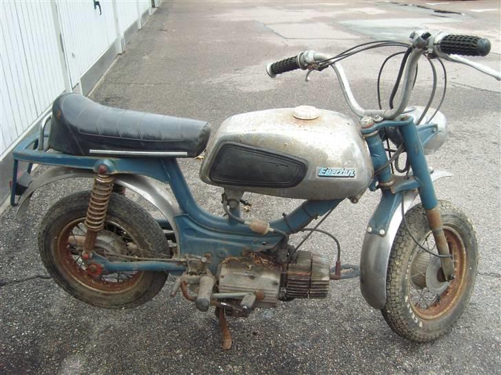 Everton ja  billede 8