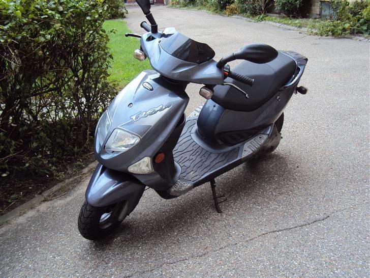 PGO T-Rex (Solgt) billede 1