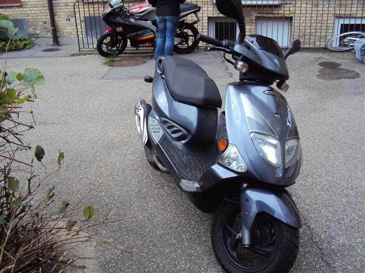 PGO T-Rex (Solgt) billede 2