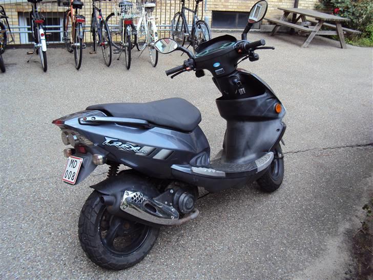 PGO T-Rex (Solgt) billede 3