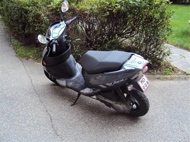 PGO T-Rex (Solgt) billede 4