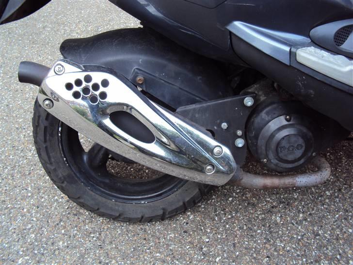 PGO T-Rex (Solgt) billede 6