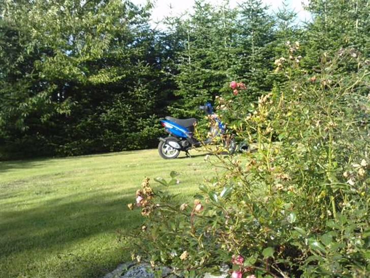 Gilera Stalker solgt! billede 11