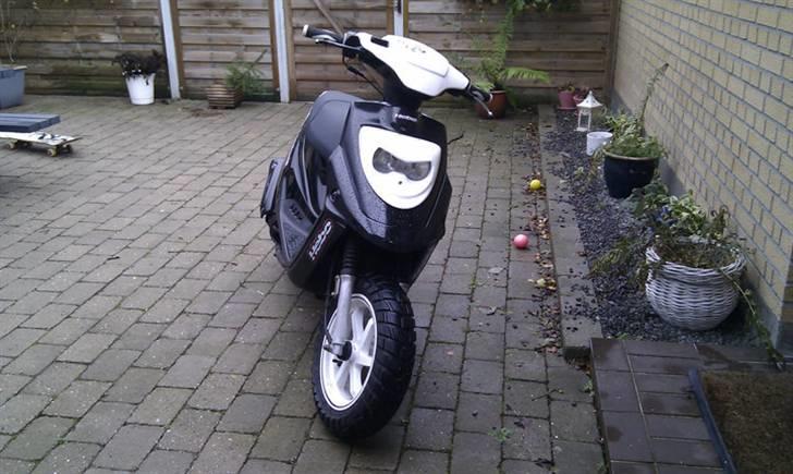 PGO Hot 50 solgt (5000kr.) billede 13