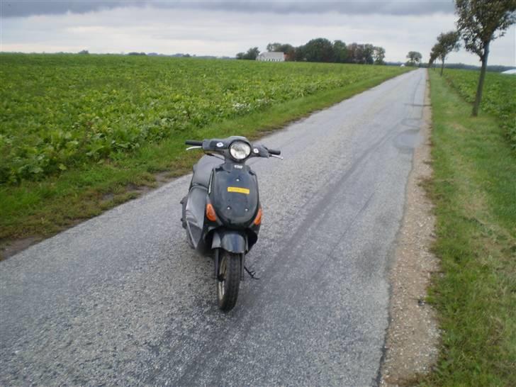 PGO rodoshow KØRT NED billede 1