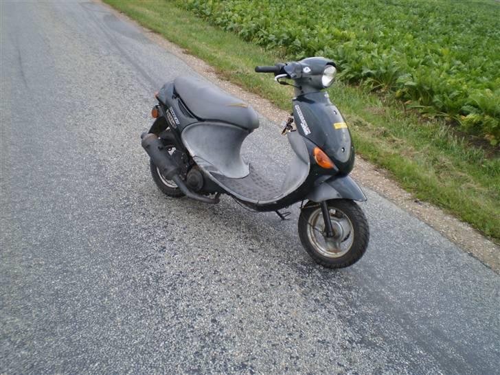 PGO rodoshow KØRT NED billede 2