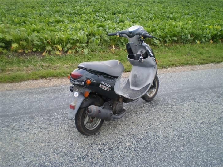 PGO rodoshow KØRT NED billede 3