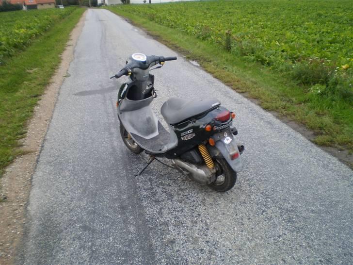 PGO rodoshow KØRT NED billede 4