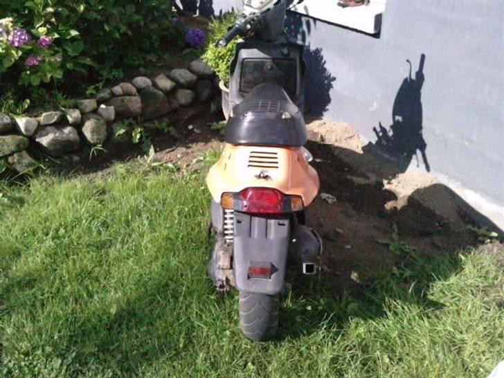 Adly Pista  billede 3