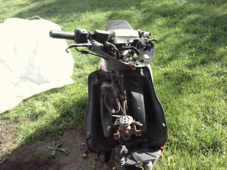 Adly Pista  billede 5