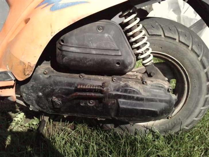 Adly Pista  billede 7