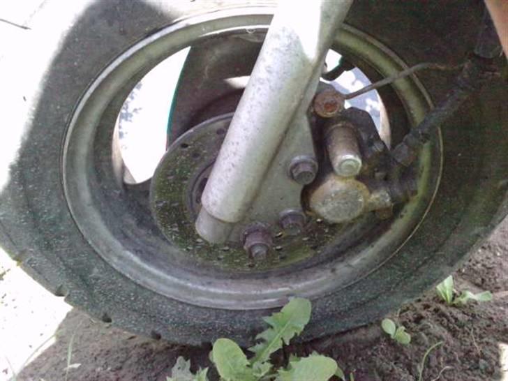 Adly Pista  billede 9