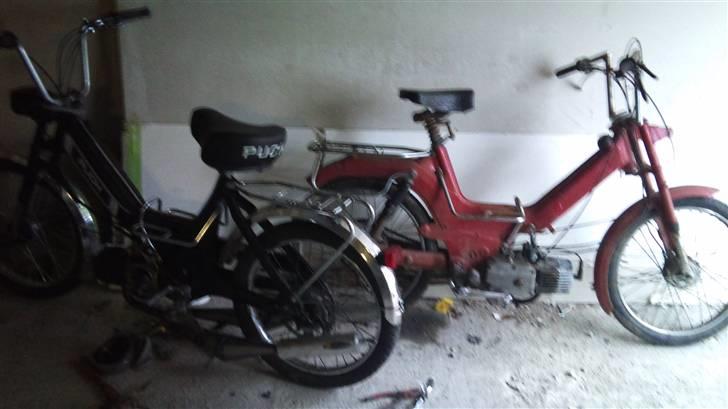Puch Maxi 2Gear (FØR) - Mine maxier ^^ billede 8