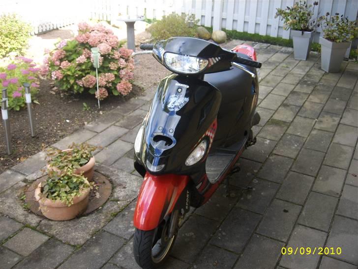 Giantco Sprint Sport SOLGT billede 12