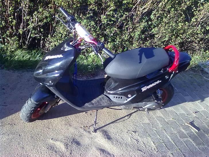 PGO Tornado SOLGT billede 6