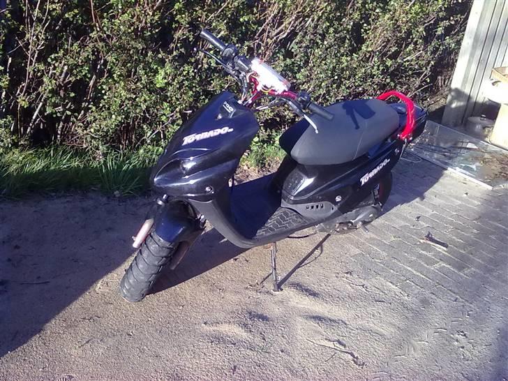 PGO Tornado SOLGT billede 10