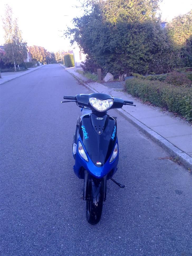 PGO PGO Ligero BYTTET billede 4