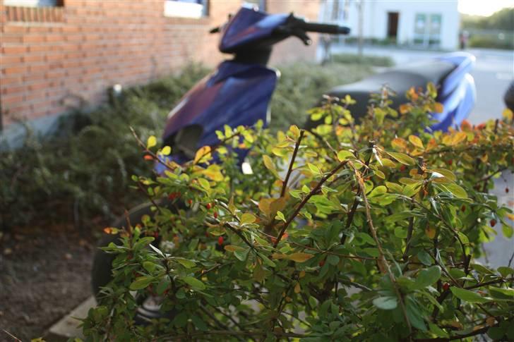 Yamaha JOG RR  (B.Y.T.T.E.T) billede 17